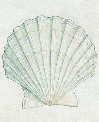 Mli - Hebenatka jakubsk