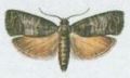 Nsledujc obrzek