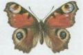 Nsledujc obrzek